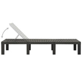 ZNTS Sun Lounger Plastic Anthracite 315827