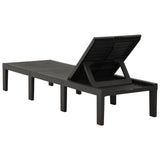ZNTS Sun Lounger Plastic Anthracite 315827
