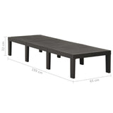 ZNTS Sun Lounger Plastic Anthracite 315827