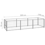 ZNTS Dog Kennel Silver 300x100x70 cm Steel 150794