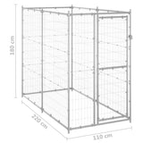 ZNTS Outdoor Dog Kennel Galvanised Steel 110x220x180 cm 150801