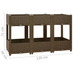 ZNTS Raised Bed 120x40x71 cm Polypropylene 316521