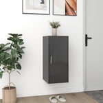 ZNTS Shoe Cabinet High Gloss Grey 32x35x70 cm Chipboard 808970