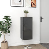 ZNTS Shoe Cabinet High Gloss Grey 32x35x70 cm Chipboard 808970