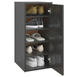 ZNTS Shoe Cabinet High Gloss Grey 32x35x70 cm Chipboard 808970