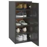 ZNTS Shoe Cabinet High Gloss Grey 32x35x70 cm Chipboard 808970