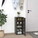 ZNTS Shoe Cabinet High Gloss Grey 32x35x70 cm Chipboard 808970