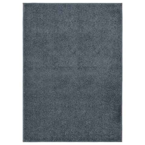 ZNTS Rug Short Pile 140x200 cm Anthracite 340308