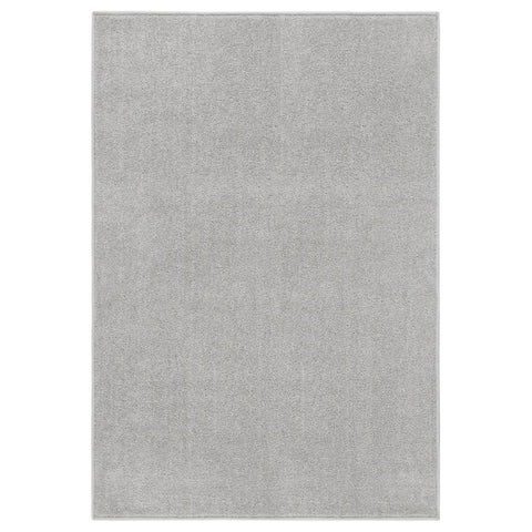 ZNTS Rug Short Pile 160x230 cm Light Grey 340325