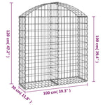 ZNTS Arched Gabion Basket 100x30x100/120 cm Galvanised Iron 153425