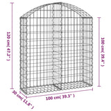 ZNTS Arched Gabion Basket 100x30x100/120 cm Galvanised Iron 153425