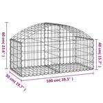 ZNTS Arched Gabion Basket 100x50x40/60 cm Galvanised Iron 153432