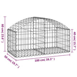 ZNTS Arched Gabion Basket 100x50x40/60 cm Galvanised Iron 153432