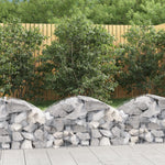 ZNTS Arched Gabion Basket 100x50x40/60 cm Galvanised Iron 153432