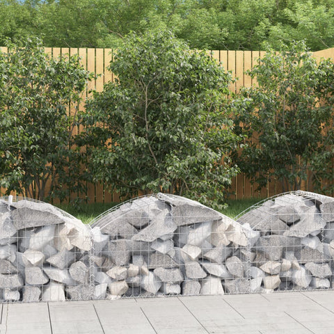 ZNTS Arched Gabion Basket 100x50x40/60 cm Galvanised Iron 153432