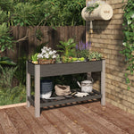 ZNTS Garden Raised Bed with Shelf Grey 120x50x75 cm WPC 362570