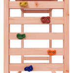 ZNTS Outdoor Playset Solid Wood Douglas 3156980