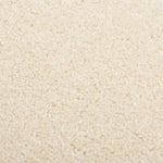 ZNTS Rug Short Pile 140x200 cm Cream 340372