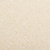 ZNTS Rug Short Pile 140x200 cm Cream 340372