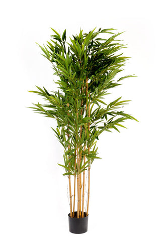 Artificial 6ft Bamboo Tree N0122