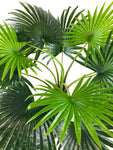 Artificial Fan Palm Tree 150cm N3011