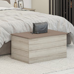 ZNTS Nevada Blanket Box 100-104-012