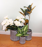 Set of 3 Bucket Style Metal Planters S-PS0072