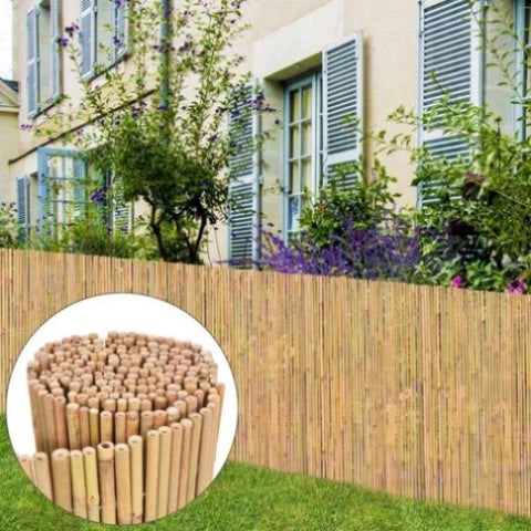 ZNTS Bamboo Fence 300x100 cm 142683