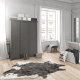 Paris Wardrobe with 3 Doors in Matt Grey 70175353IG